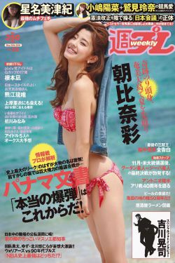 阿v小四郎收藏家手机版