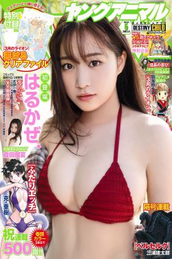 黄志忠个人资料